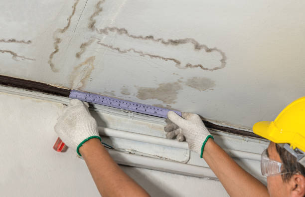 Reliable Structural Drying contractor in Lake George, MI by Water Damage Irwin